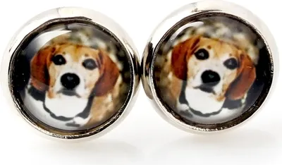 Immagine prodotto di Beagle - I tuoi orecchini sono fatti a mano, foto personali, gioielli del marchio Art.-Dog.