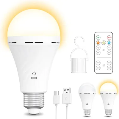 A collection of LED light bulbs and accessories, including a remote control and charging cables, arranged on a white background.