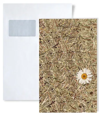 Productafbeelding van 1 PROEFMONSTER WallFace S-AL-11004 DIN A5 | Wandpaneel STAAL ALPINE WHITE DAISY