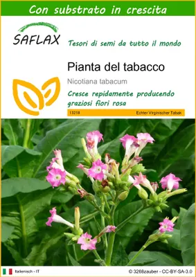 Immagine prodotto di SAFLAX - Pianta del tabacco - 250 semi - Con substrato - Nicotiana