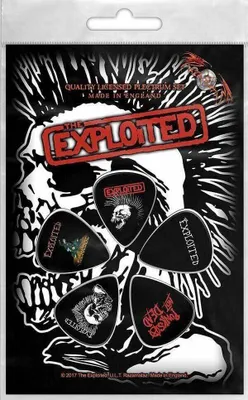 Zdjęcie produktu dla The Exploited Skull Kostka / Piorko