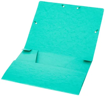 Productafbeelding van EXACOMPTA verzamelbox Cartobox, DIN A4, 40 mm, groen
