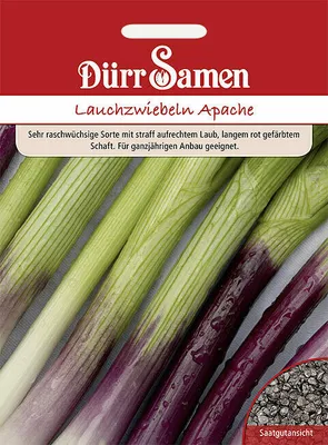 Produktbild von Dürr-Samen - Lauchzwiebeln Apache - Saatgut - 1225