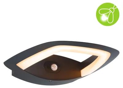 Productafbeelding van Paulmann LED buitenwandlamp Akena, met schemersensor en bewegingsmelder (IR), insectvriendelijk