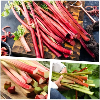 A collage of three images showing fresh rhubarb stalks.