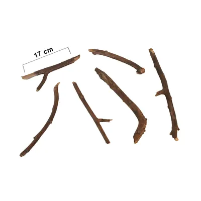 Several wooden sticks are arranged on a white background.