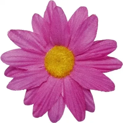 Produktbild von 24 Streublüten Margeriten fuchsia pink