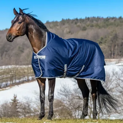 Produktbild von Bucas Outdoordecke 150g Freedom Turnout High Neck 150 Navy/Silver 165
