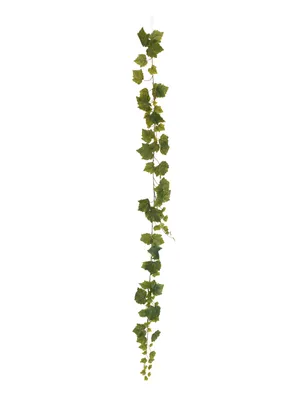 Produktbild von EUROPALMS Weingirlande Premium, künstlich, 180cm (82503754)