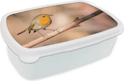 Produktbild von KitchenYeah® Lunchbox Brotzeit Brotdose 17x11 cm Vogel - Zweig - Rotkehlchen Kinder Brotzeitdose - Lunch Box - Kinder - Sandwich-Box - Schulbox - Lunch Boxen