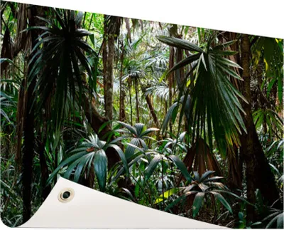 Produktbild von Gartenposter - 120x80 cm - Pflanzen im Regenwald  - Modernes Wandbilder - Natur
