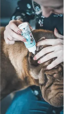 Image de Nettoyant Oreilles Chien Chat VETOCANIS, Solution Nettoyante Douce, 60ml