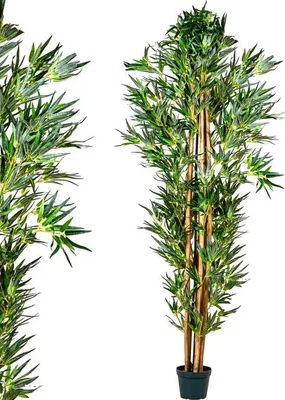 Zdjęcie produktu dla PLANTASIA Sztuczne drzewo bambusowe, 220 cm