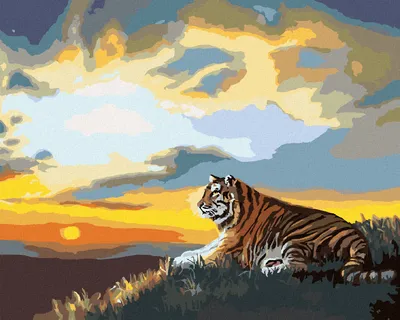 Produktbild von Zuty - Malen nach Zahlen - TIGER UND SONNENUNTERGANG (D. RUSTY RUST), 40x50 cm, mit Keilrahmen (bereits gespannt)