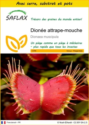 Image de SAFLAX Ensemble de culture - Dionée attrape-mouche - 10 graines - Dionaea