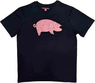 Zdjęcie produktu dla Pink Floyd AWBDG Navy Blue 2XL Koszulka