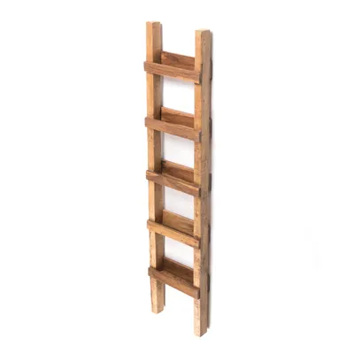 A narrow wooden ladder leaning against a white wall.