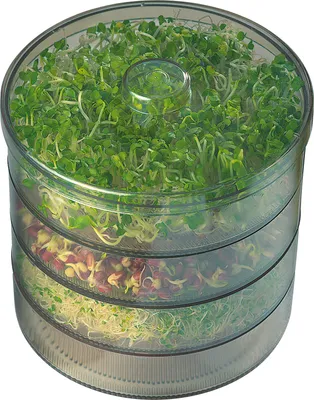 Produktbild von Kiepenkerl Anzuchtset Sprossenbox 1 Stück