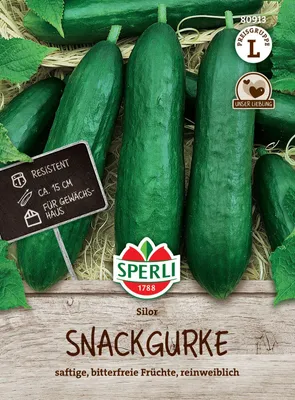 Produktbild von SPERLI Salatgurkensamen Silor F1 Cucumis sativus 4 Pflanzen