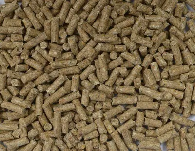 Productafbeelding van Fakkert Biologisch (vlees) varkensbrok 20KG