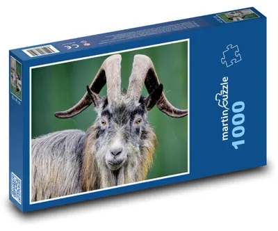 Obrázok produktu pre Puzzle 1000 Írska koza v prírode - martinpuzzle