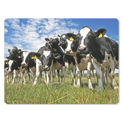 Produktbild von MuchoWow® Mauspad Mousepad Kühe - Gras - Wiese - Tiere 23x19 cm - Mousepads - Maus Mat - Pad - Mausunterlage - Schreibtischunterlage - Mauspad