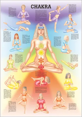 Produktbild von Mini-Poster Chakra, LxB 34x24 cm
