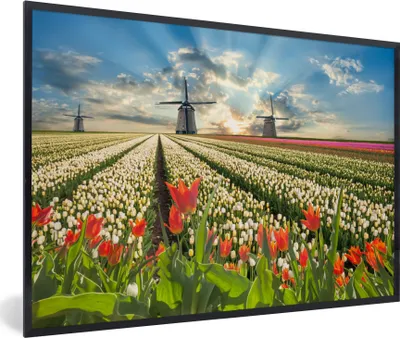 Produktbild von MuchoWow® Gerahmtes Poster Windmühle - Tulpen - Himmel - Natur 30x20 cm - Poster mit Schwarzem Bilderrahmen Wandposter Rahmen Foto Bilder - Kunstdruck - Bild-Poster