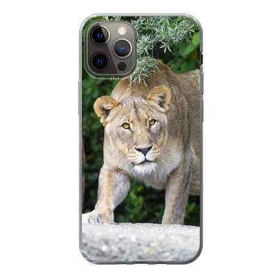 Produktbild von MuchoWow® Handyhülle Schutzhülle Hülle für iPhone 13 Pro Löwinnen - Wilde Tiere - Jagd Silikon Softcase Handy Hülle - Handy-Tasche