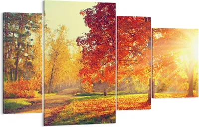 Produktbild von Bild auf Leinwand - Leinwandbild - Park Herbst Baum - 120x70cm - Wand Bild - Wanddeko - Wandbilder - Leinwanddruck - Bilder - Kunstdruck - Wanddekoration - Leinwand bilder - Wandkunst - DL120x70-3654
