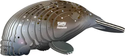 Produktbild von Eugy 3D Puzzle - Seekuh Bastelset aus Karton Spielzeug