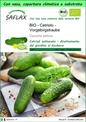 Immagine prodotto di SAFLAX Garden to go - BIO - Cetriolo - Vorgebirgstraube - 15 semi - Cucumis