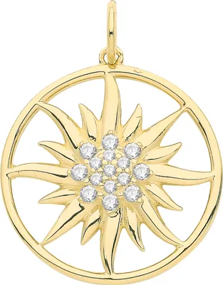 Produktbild von Wunderschöner 9 Karat (375) Gold Damen - Anhänger mit Zirkonia - 21mm*17mm; TRS34391