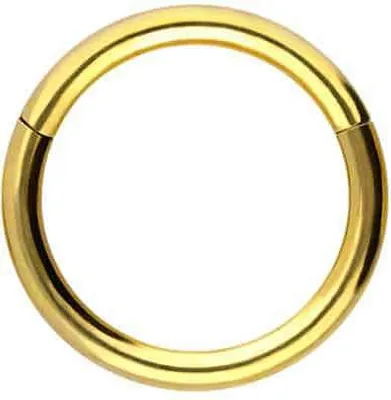Produktbild von Ohrpiercing, Nasenpiercing, Septum Piercing Titan Segmentring Clicker Gold Innendurchmesser: 5mm + Stabstärke: 1mm