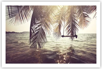 Produktbild von Poster - Poster ohne Rahmen - Meer Palme Wasser - 91,5x61 cm - Wand Bild - Wanddeko - Wandbilder - Kunstposter - Wandposter - Bilder - Kunstdruck - Wanddekoration - Wandbild - P2XAA91x61-3634