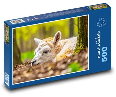 Zdjęcie produktu dla Puzzle 500 Alpaka w wiosennym lesie - martinpuzzle