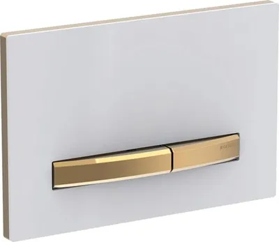 A flush-mount toilet flush plate with gold-colored buttons on a white background.