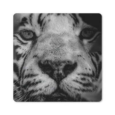 Produktbild von MuchoWow® Mauspad Mousepad Dschungel - Tiger - Schwarz - Weiß 20x20 cm - Mousepads - Maus Mat - Pad - Mausunterlage - Desk Mat - Bureauartikeln