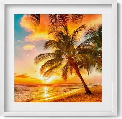Produktbild von Palme am Strand bei Sonnenuntergang– Wandbild mit Rahmen – Gerahmtes Bild  – Wanddekoration – 50x50 cm –  Weiß Rahmen