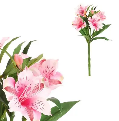 Obrázek produktu pro Autronic Alstromérie růžová KT7911 PINK