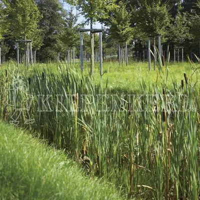 Immagine prodotto di Kiepenkerl RSM 8.1.1 Miscela di biotopi 1kg