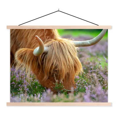 Produktbild von MuchoWow® Textilposter Schottischer Hochländer - Hörner - Heidekraut 60x45 cm mit holzfarbenen Rahmen - Bild