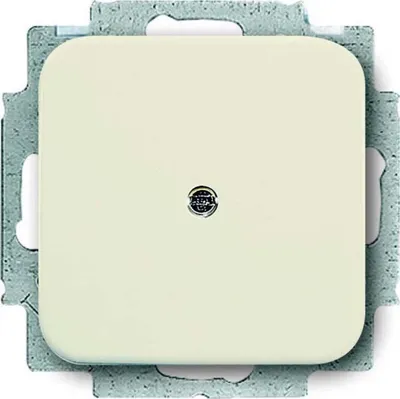 Image de Plaque centrale deBusch-Jaeger, modèle 2538-212, avec anneau de support, pour 1 élément, de couleur blanche, 1 pièce.