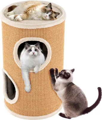 Three cats interacting with a multi-level cat scratching post.