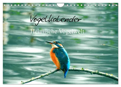 Produktbild von Vogelkalender (Wandkalender 2027 DIN A4 quer), CALVENDO Monatskalender