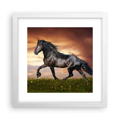 Produktbild von Gerahmtes Poster - Weißer Rahmen - Pferd Tier Wiese - 30x30 cm - Wand Bild - Wanddeko - Wandbilder - Kunstposter - Wandposter - Bilderrahmen - Bilder - Kunstdruck - Wandbild - P2WAC30x30-2608