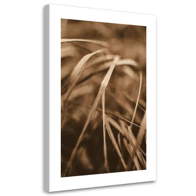 Produktbild von Leinwandbild Trockenes Gras 80x120 Feeby Beige bild für die wand bereit zum aufhängen