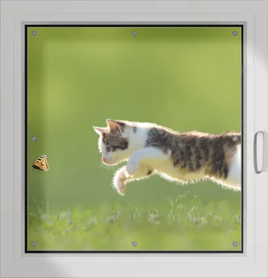 Produktbild von Wallario Lichtschutzbild, Dekorativer Sichtschutz Sonnenschutz 96 x 100 cm mit Motiv: Süße Katze fängt Schmetterling im Grünen - Verdunklung ohne Bohren