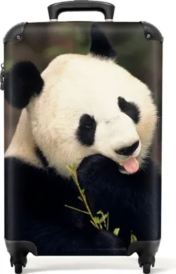 Obrázek produktu pro NoBoringSuitcases.com® Kufr Příruční zavazadlo Kufr na kolečkách Malý cestovní kufr na 4 kolečkách - Divoká zvířata - Panda - Portrét - Dítě - Kabina Velikost < 55x40x23 cm a 55x40x20 cm - Foto kufr - Kabinový kufr - Palubní zavazadloPříruční zavazadlo Kufr 55x35x20 cm, 36L,