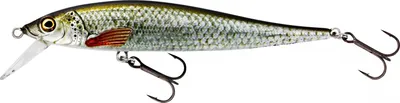 Produktbild von Westin Jerkbite SR (Real Roach)
